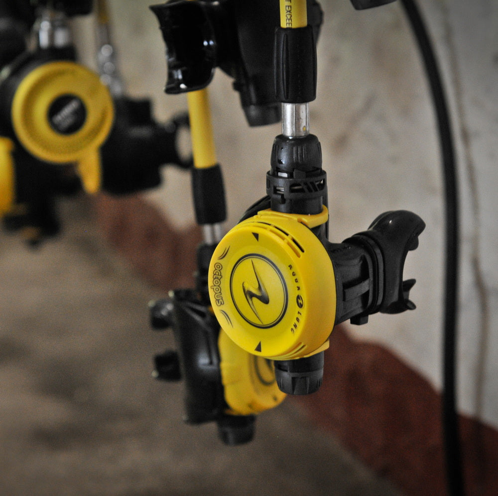 Open Water Beginner Diving Course