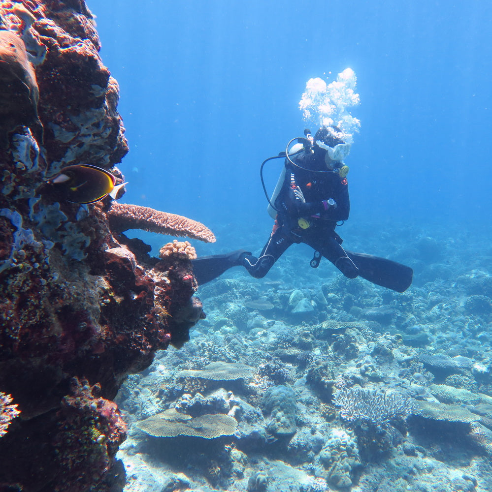 Open Water Beginner Diving Course