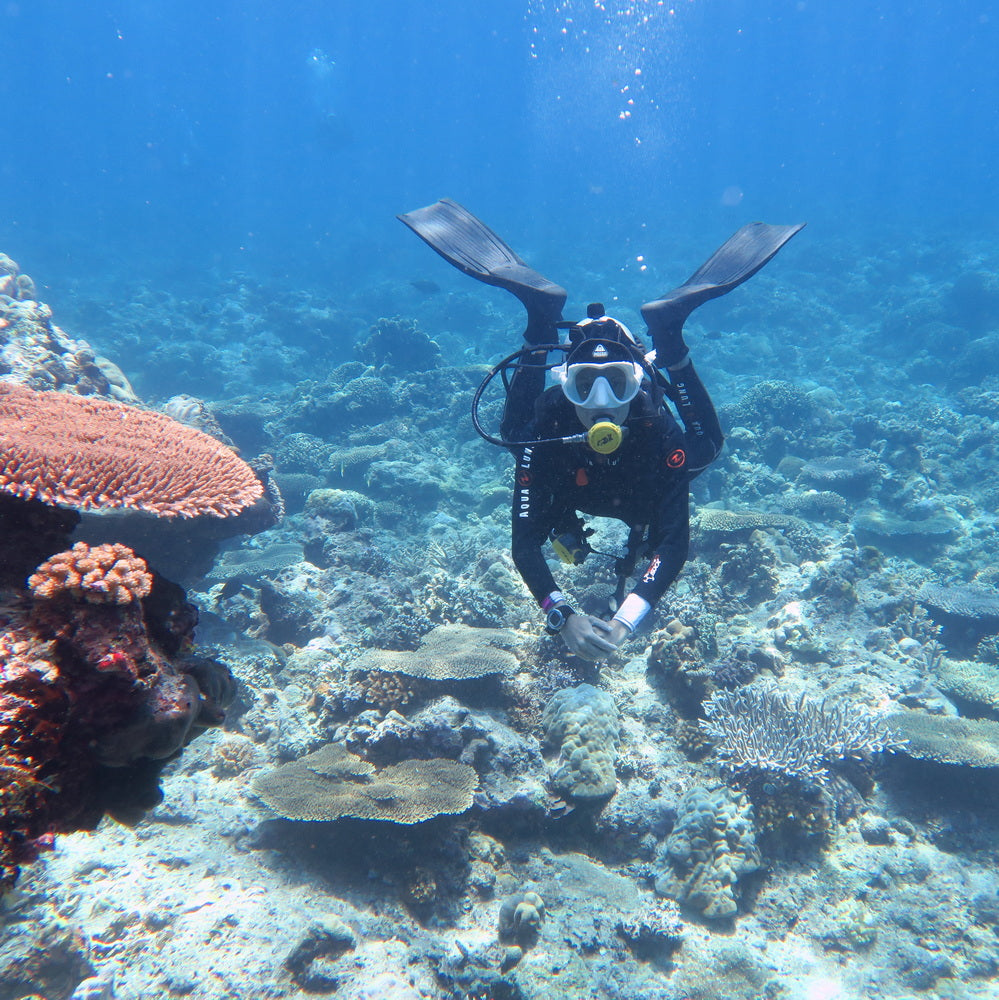 Open Water Beginner Diving Course