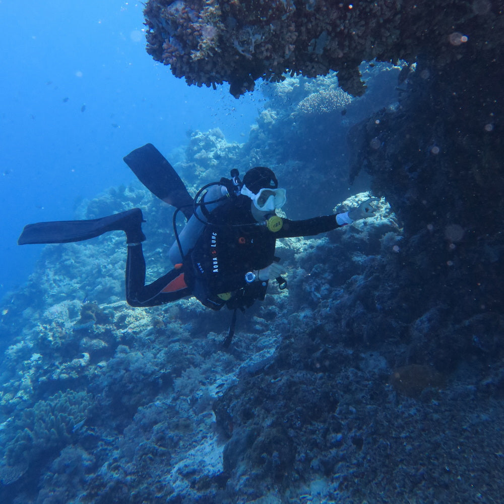 Open Water Beginner Diving Course