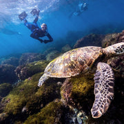 Nguthungulli Freediving Weekend Getaway