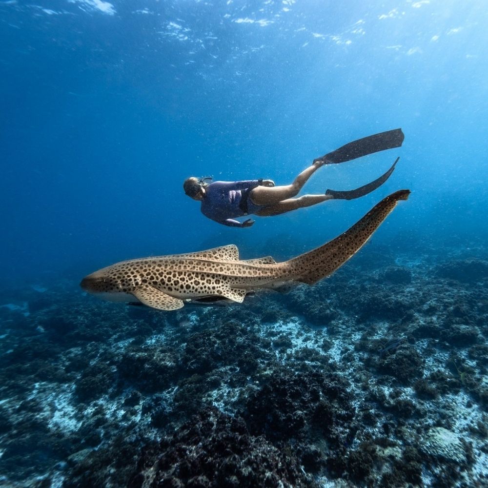 Nguthungulli Freediving Weekend Getaway