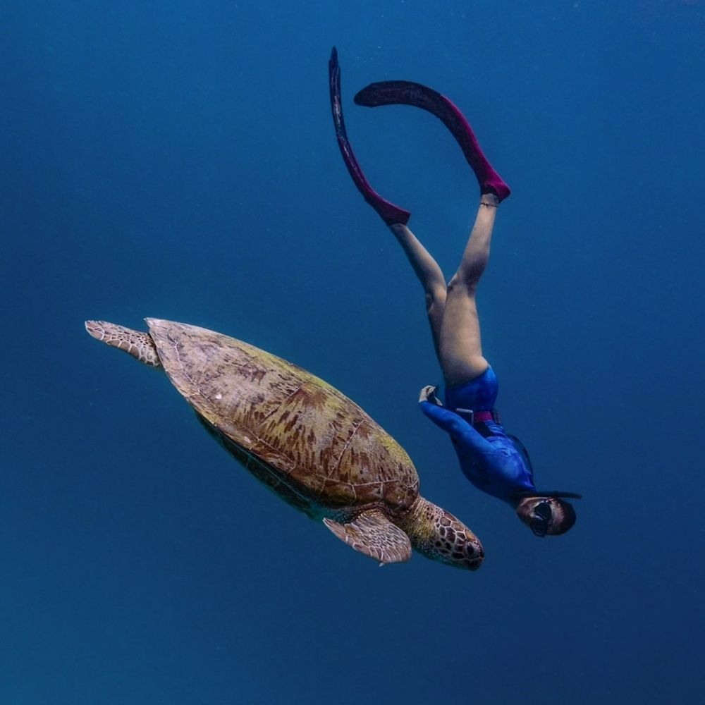 Nguthungulli Freediving Weekend Getaway