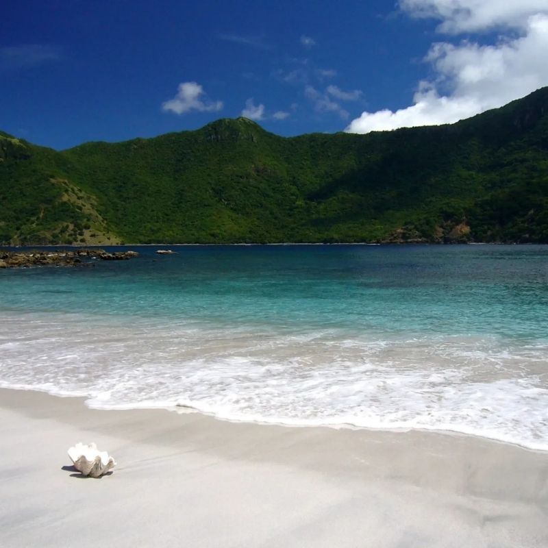 Flores Sea Scuba Diving Liveaboard