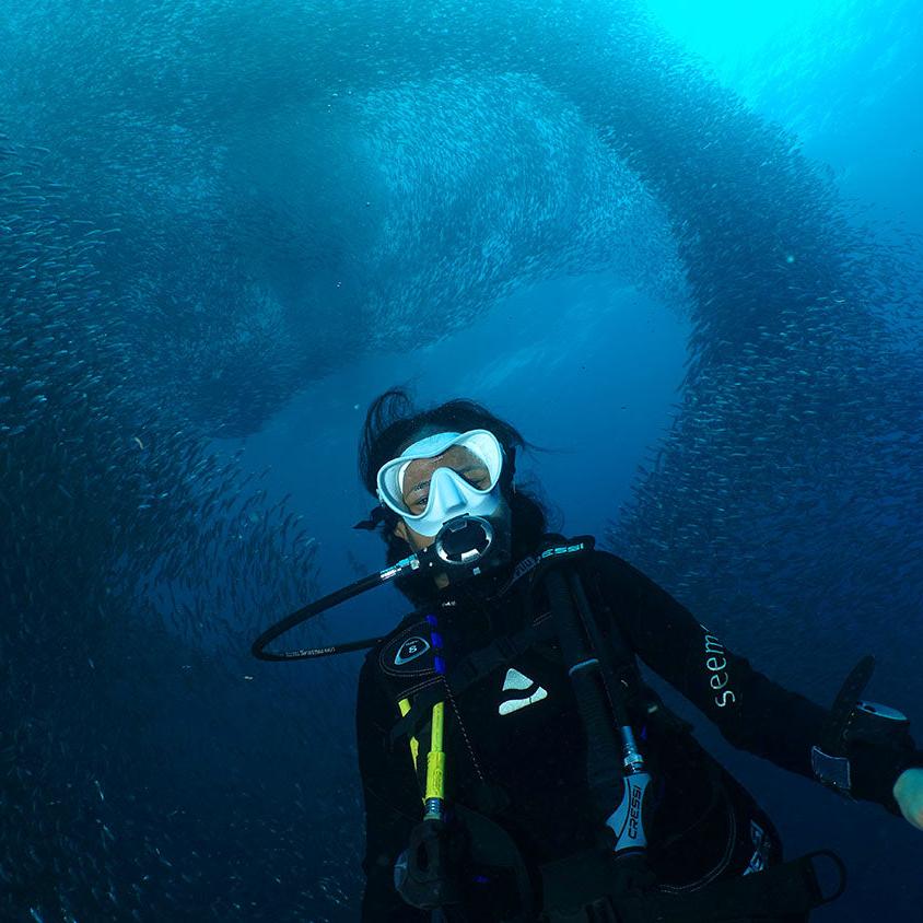 PADI Divemaster Certification Course in Cebu