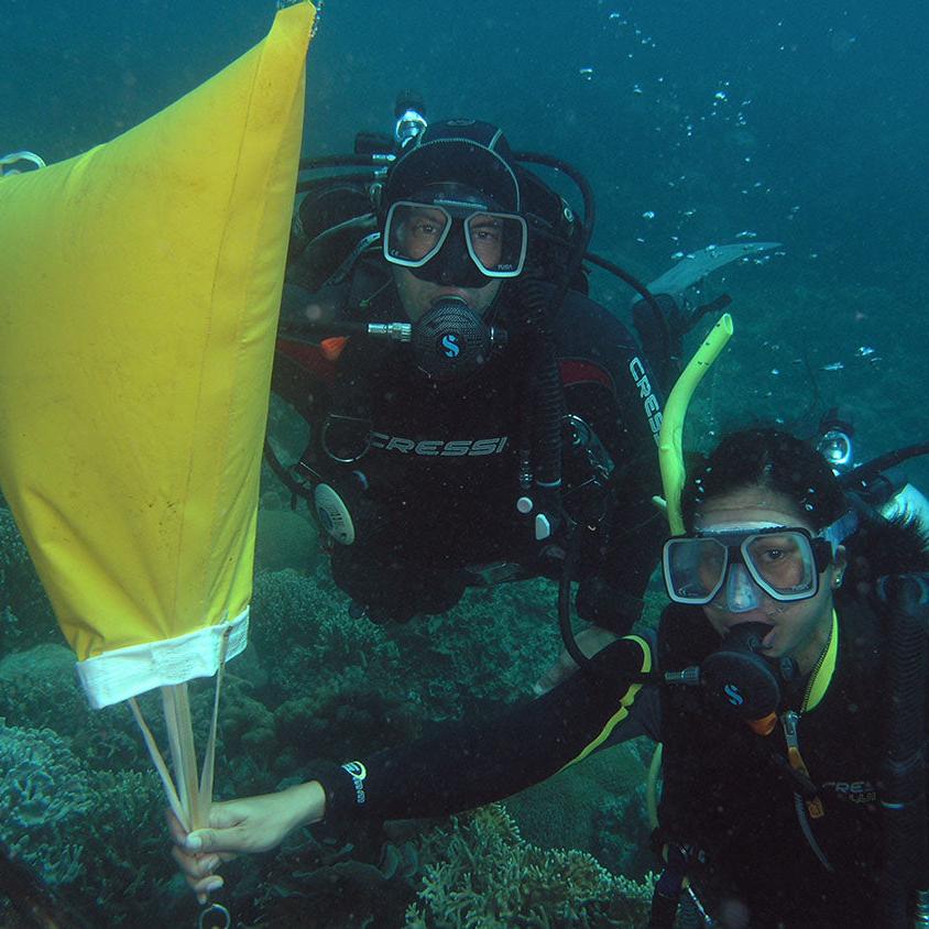 Rescue Diver Certification Course in Cebu