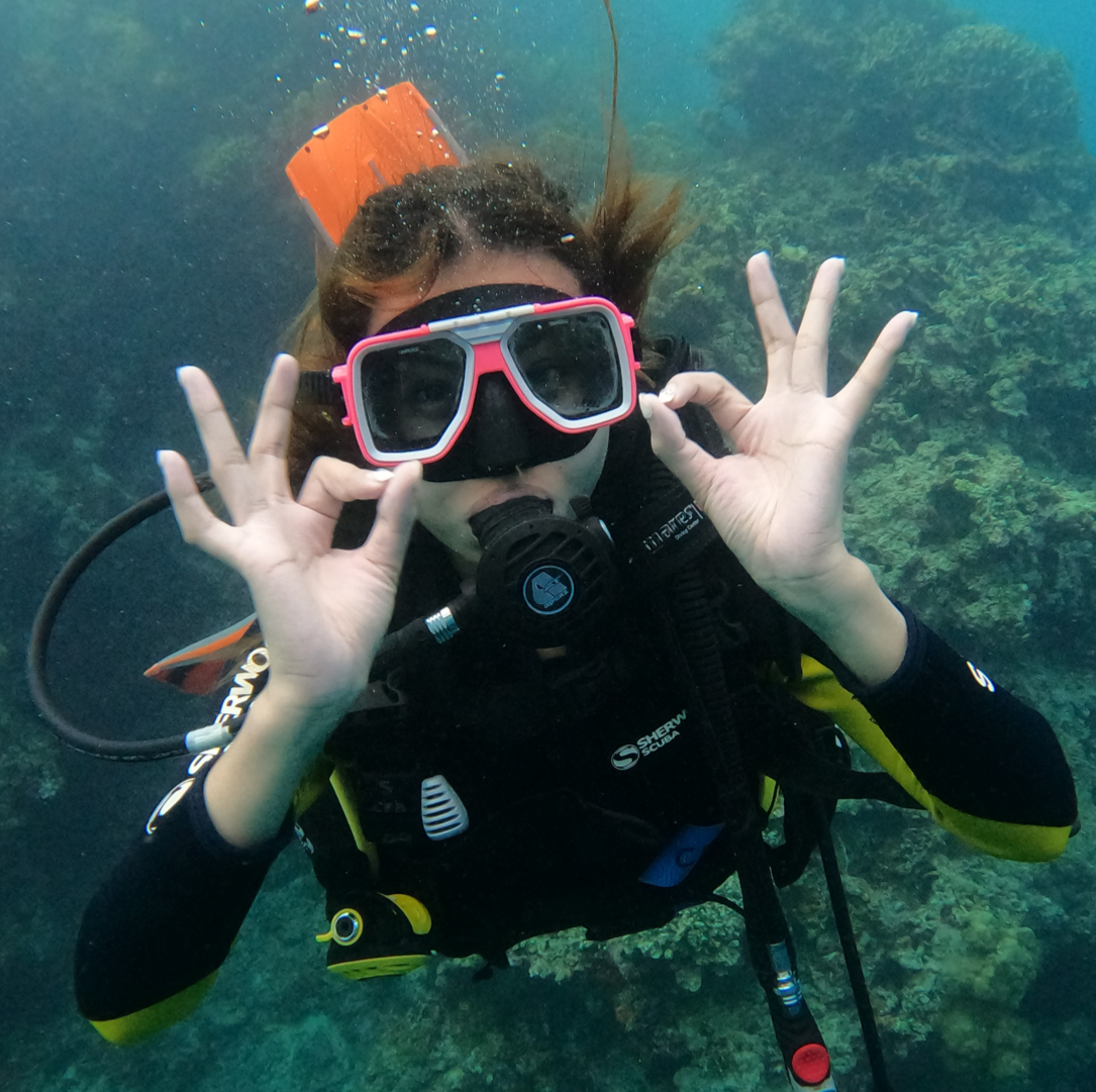 PADI Discover Scuba Diving with Sardines in Moalboal