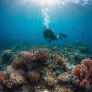 South Ari Atoll Scuba Diving Resort Trip