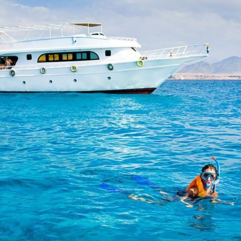 Ras Mohammed & White Island Scuba Diving Trip