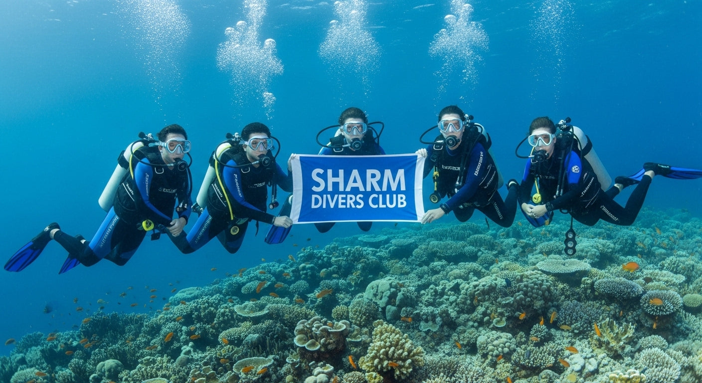PADI Divemaster Pro Course