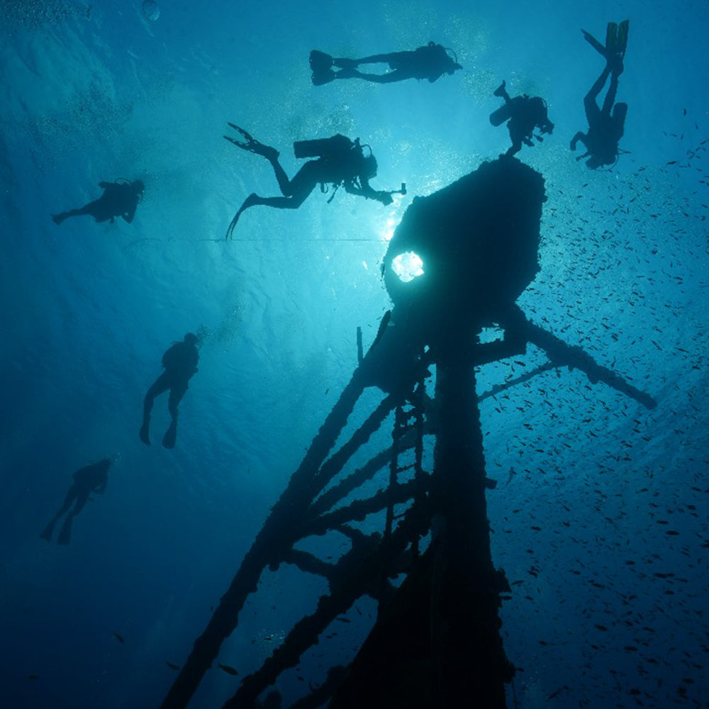Discover Freediving Course